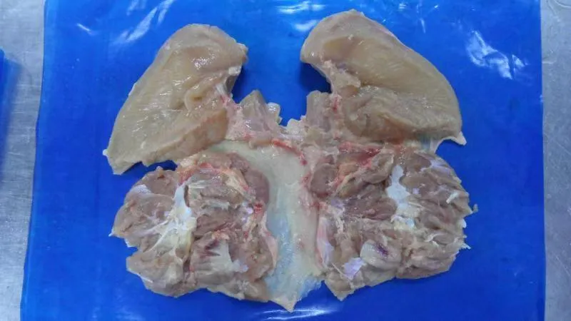 Premium Halal Frozen Shawarma Strips for Bulk Purchase