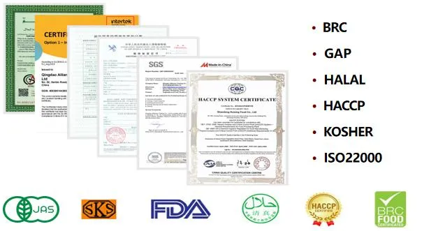 Premium Halal Frozen Shawarma Strips for Bulk Purchase