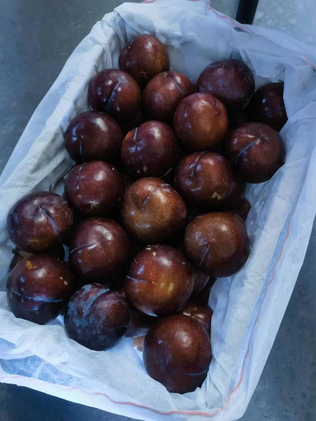 Black-New Crop-Sweet Plum From China
