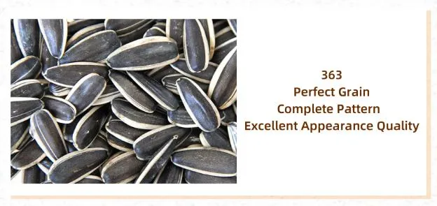 China Origin Inner Mongolia Black and White Strip Inner Mongolia Sunflower Seed