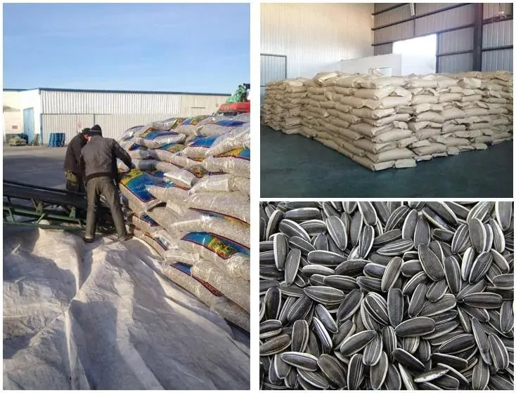 China Origin Inner Mongolia Black and White Strip Inner Mongolia Sunflower Seed