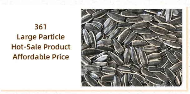 China Origin Inner Mongolia Black and White Strip Inner Mongolia Sunflower Seed
