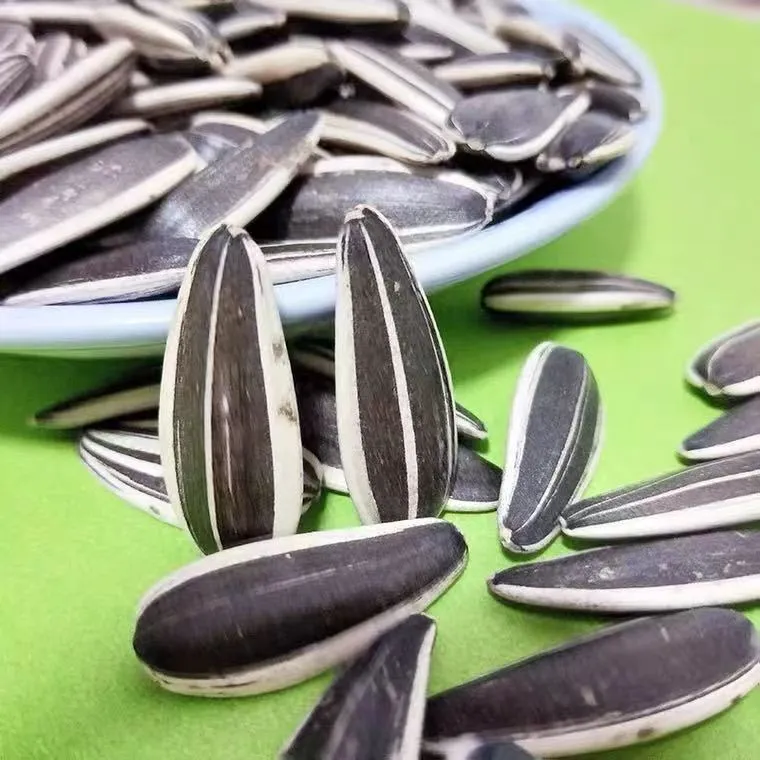 China Origin Inner Mongolia Black and White Strip Inner Mongolia Sunflower Seed