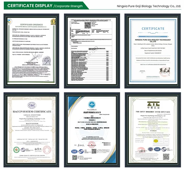 Phycocyanin Powder - Natural Antioxidant for Healthy Living