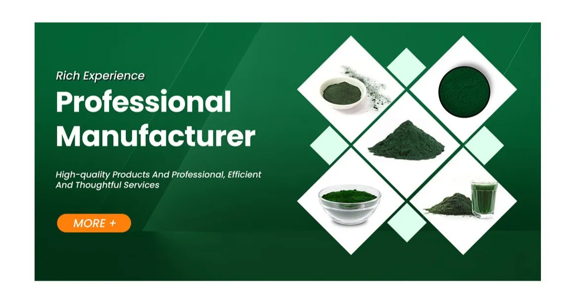 Phycocyanin Powder - Natural Antioxidant for Healthy Living