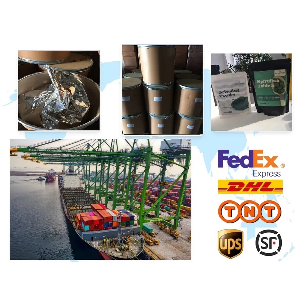 Phycocyanin Powder - Natural Antioxidant for Healthy Living