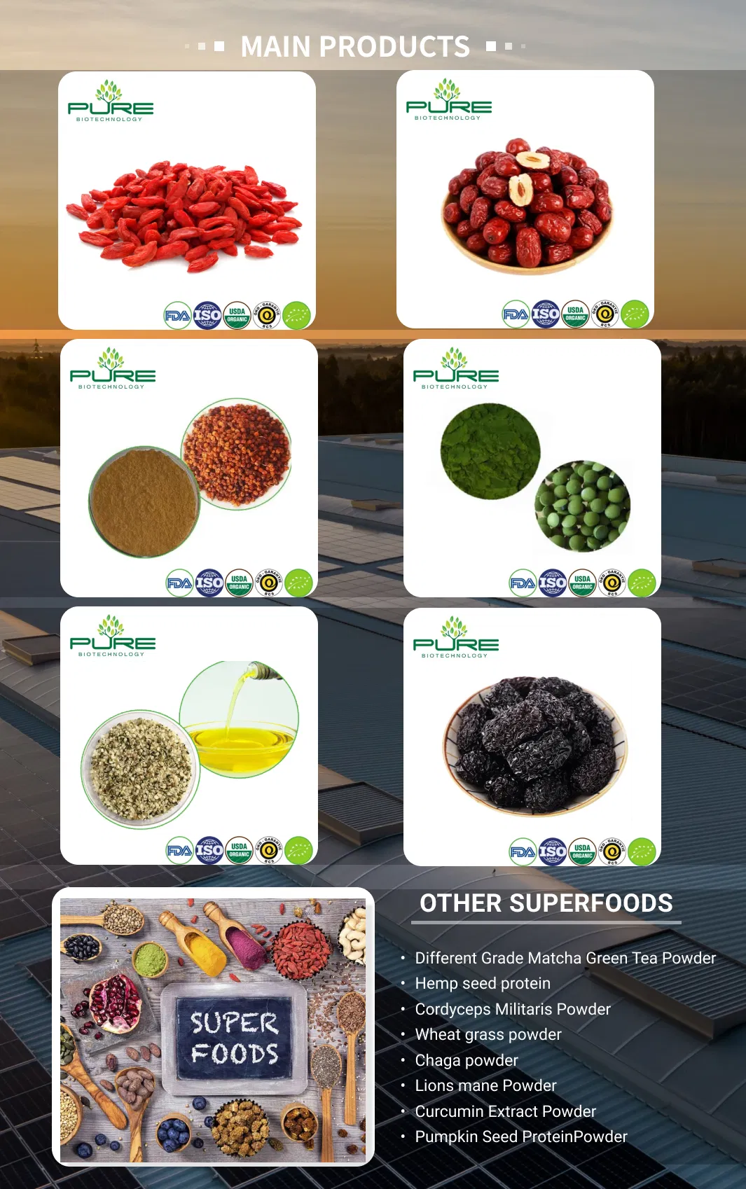 Phycocyanin Powder - Natural Antioxidant for Healthy Living