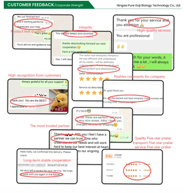 Phycocyanin Powder - Natural Antioxidant for Healthy Living