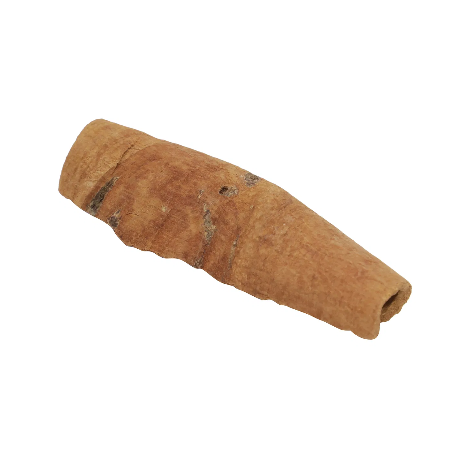 Gourmet Dried Cinnamon Sticks for Spices and Seasoning