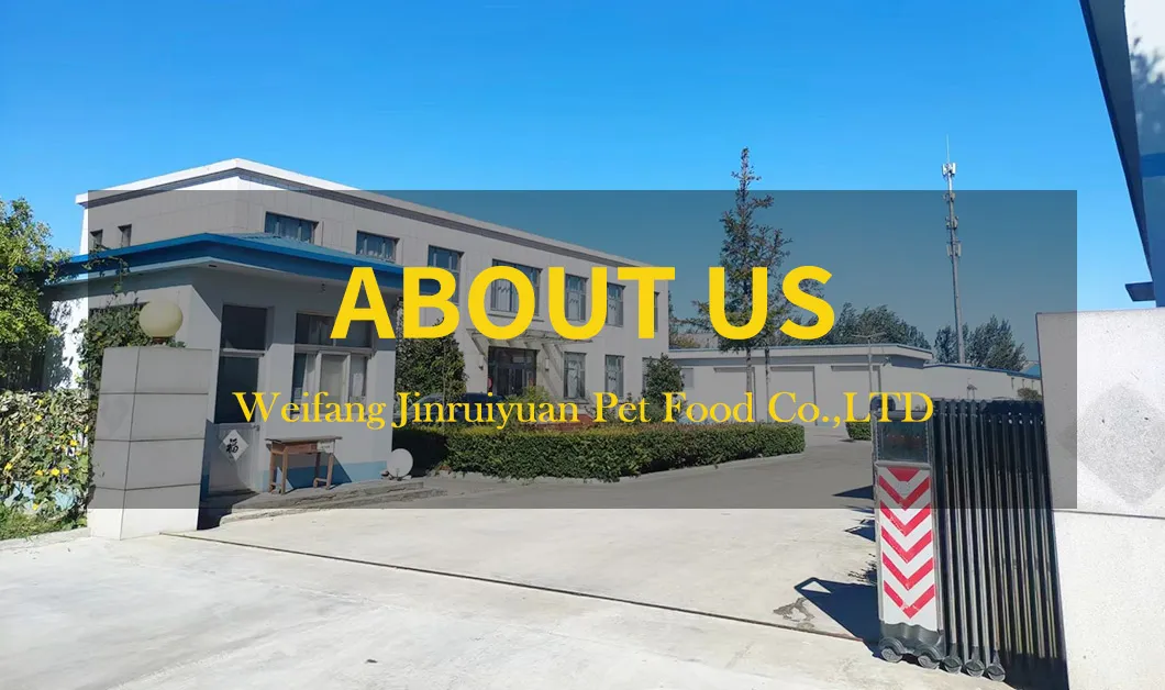 Palatable Soft Beef Stick Natural Snacks Treats Cat Dog Pet Food