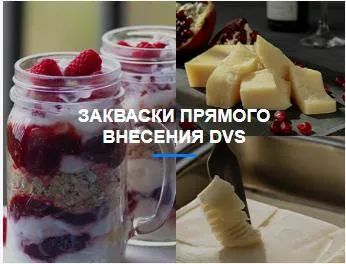 Premium Dairy Starter Culture for Yoghurt and Cheese Making