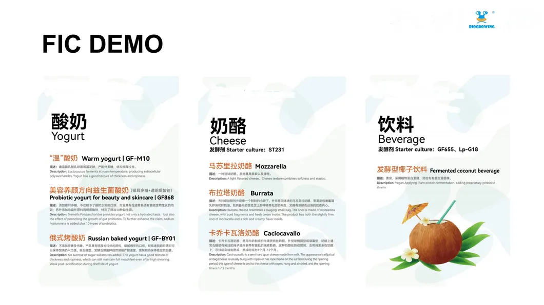 Premium Dairy Starter Culture for Yoghurt and Cheese Making