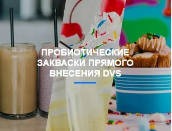 Premium Dairy Starter Culture for Yoghurt and Cheese Making