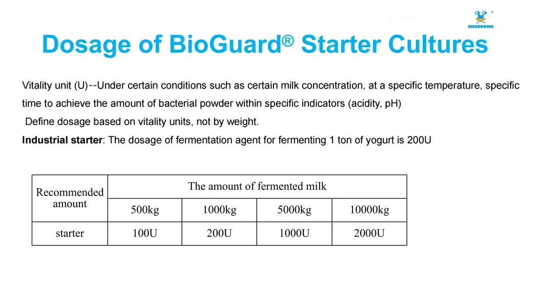 Premium Dairy Starter Culture for Yoghurt and Cheese Making