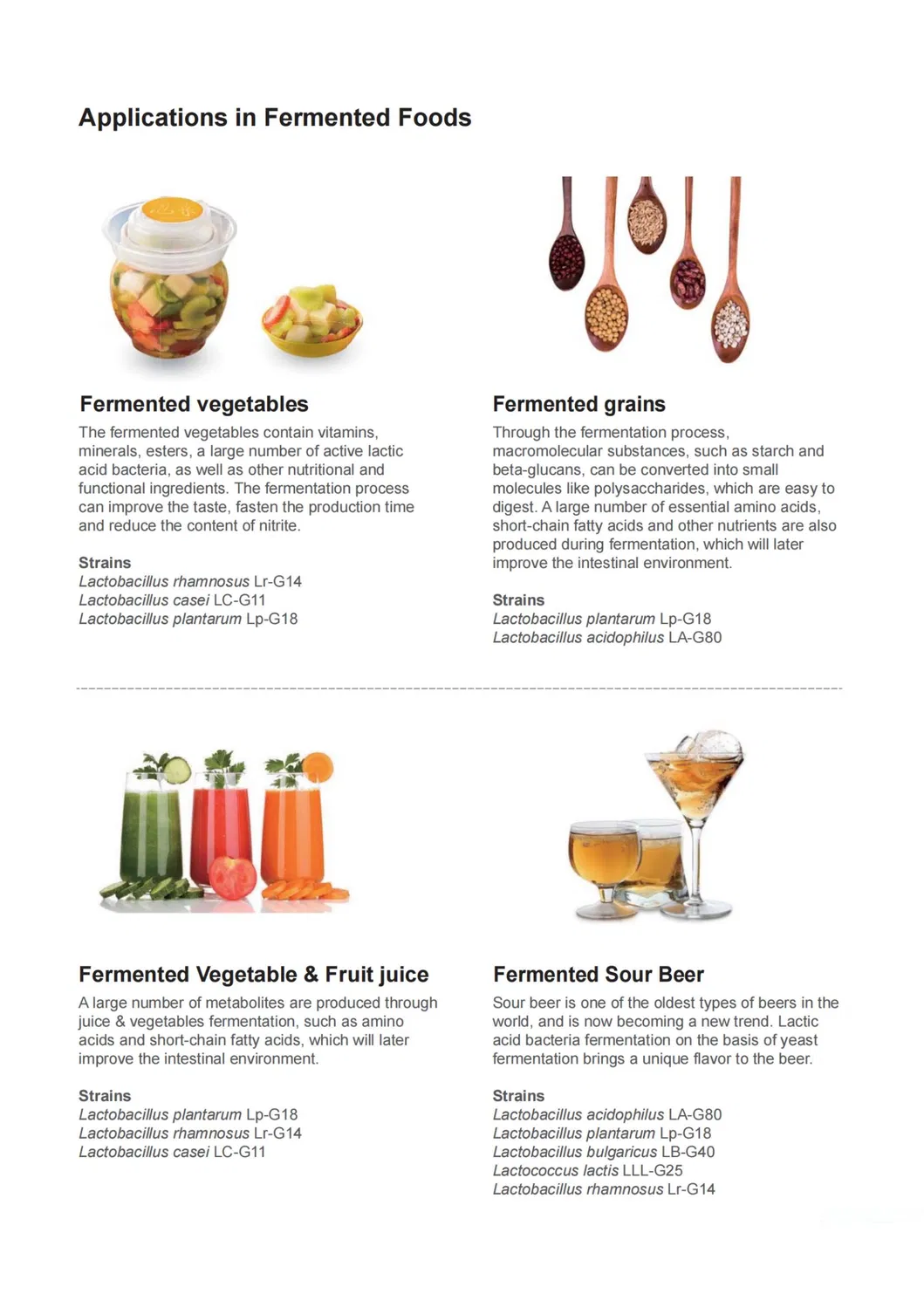 Premium Dairy Starter Culture for Yoghurt and Cheese Making