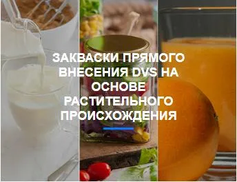 Premium Dairy Starter Culture for Yoghurt and Cheese Making