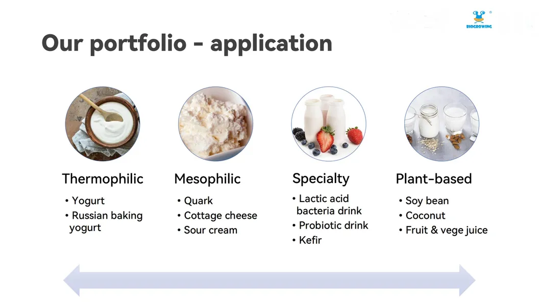 Premium Dairy Starter Culture for Yoghurt and Cheese Making