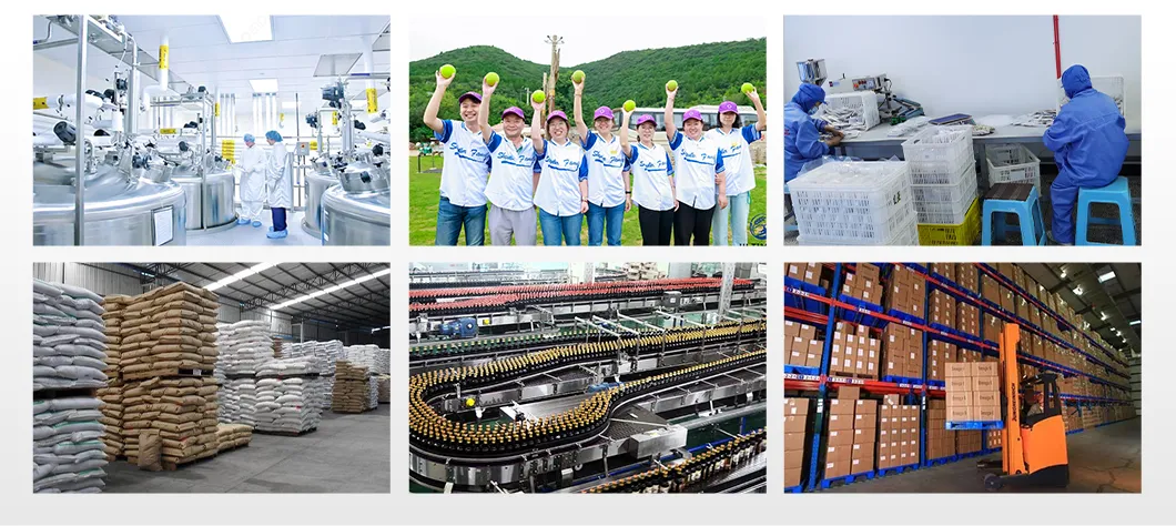 New Seafood Premium Roasted Nori