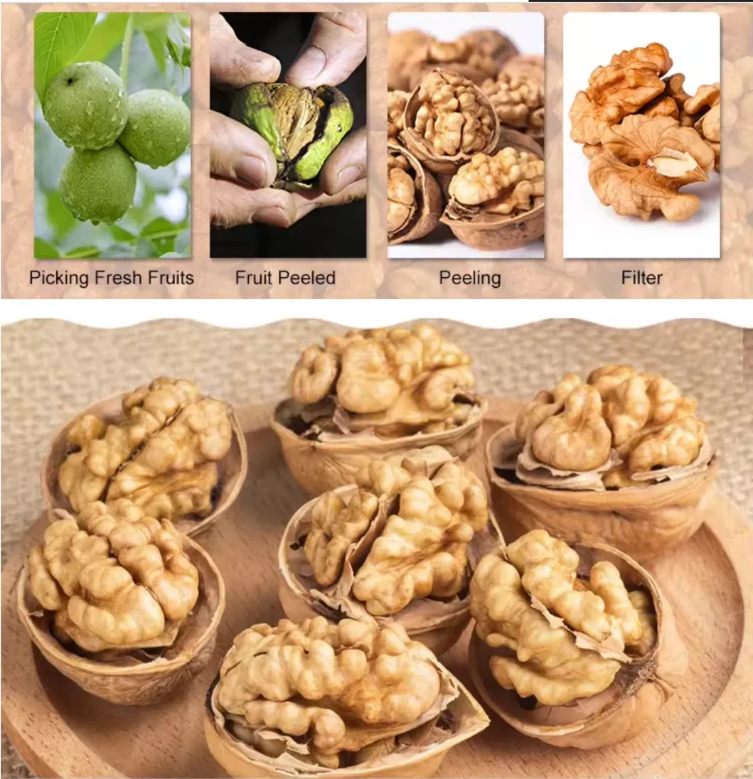 Xinjiang Flavor Wen 185 Walnut Kernel Halves