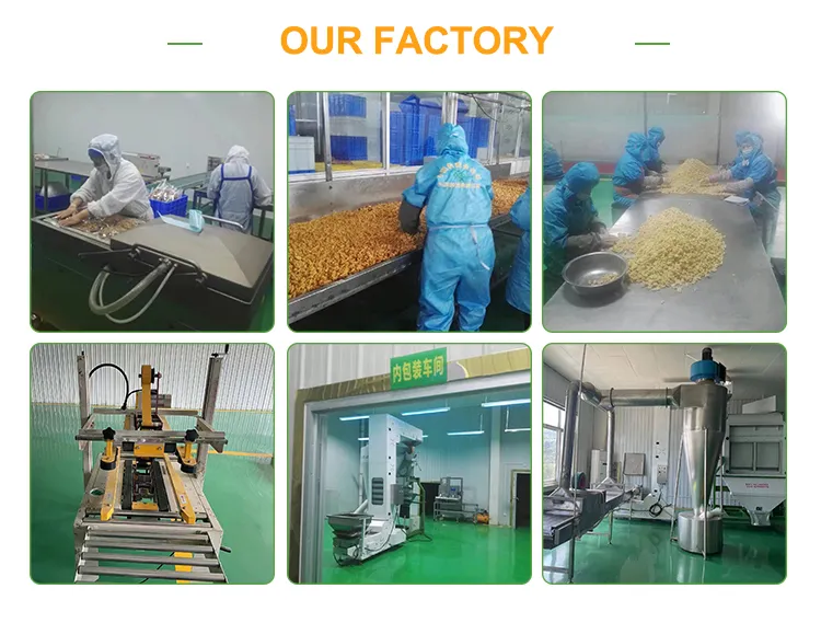 Xinjiang Flavor Wen 185 Walnut Kernel Halves