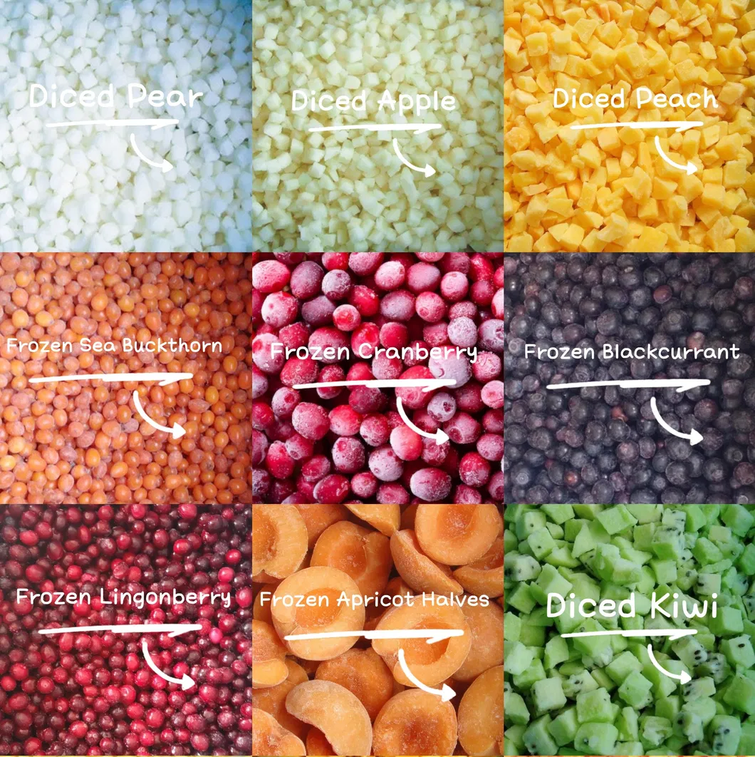 Chinese Hot Sale Premium IQF Frozen Blackcurrant IQF Black Currant Quick Freezing