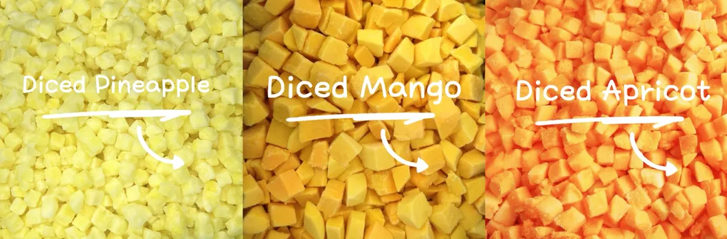 Chinese Hot Sale Premium IQF Frozen Blackcurrant IQF Black Currant Quick Freezing