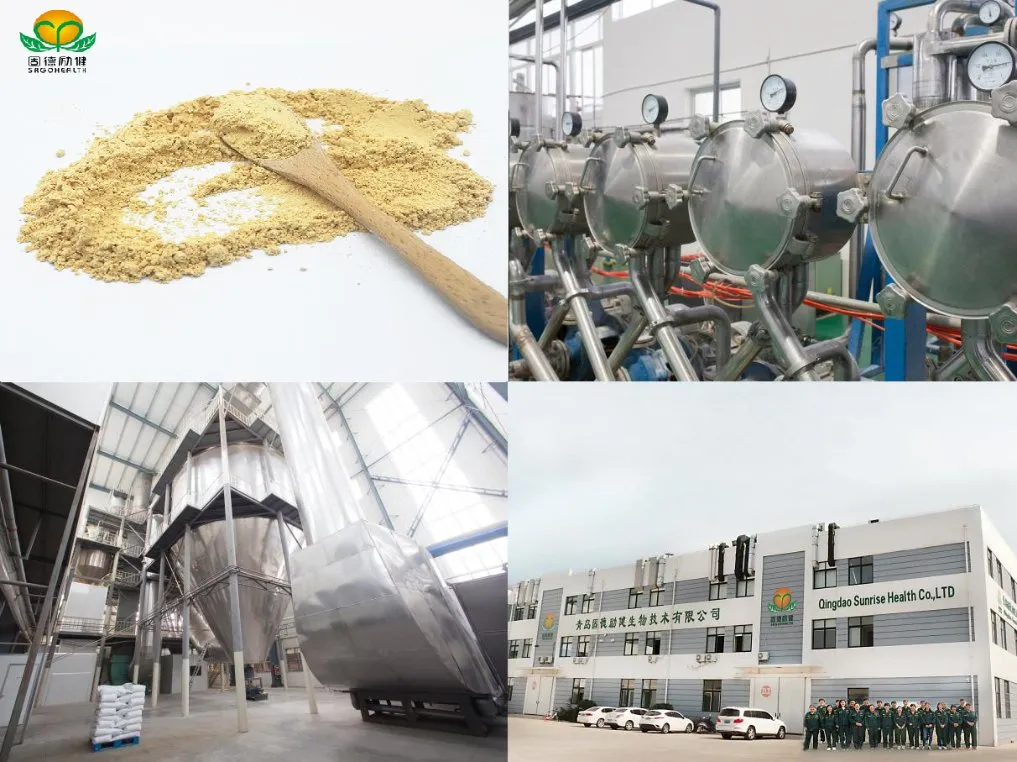 GMP Factory Supply Lyophilized Royal Jelly Powder