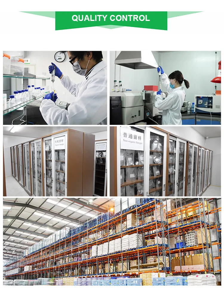 GMP Factory Supply Lyophilized Royal Jelly Powder