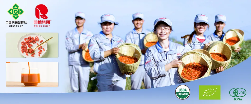 Organic Goji Berry OEM Size Small Package Lowest Price