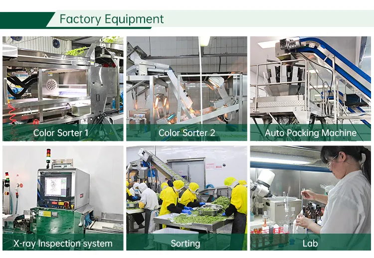 Sinocharm Kosher Diced Frozen Red Carrot Cut Cube IQF Carrot Dice