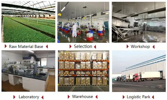 China Factory Supply – Frozen Whole Chicken