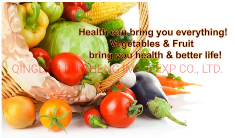 Frozen Oyster Mushroom with Good Price