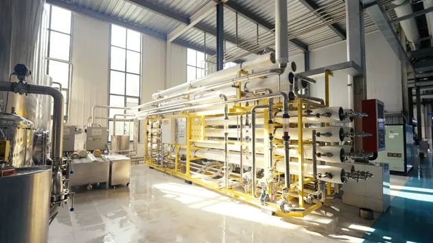 Premium Pineapple Beer Flavored Beverage From Feixiang for Wholesale Buyers