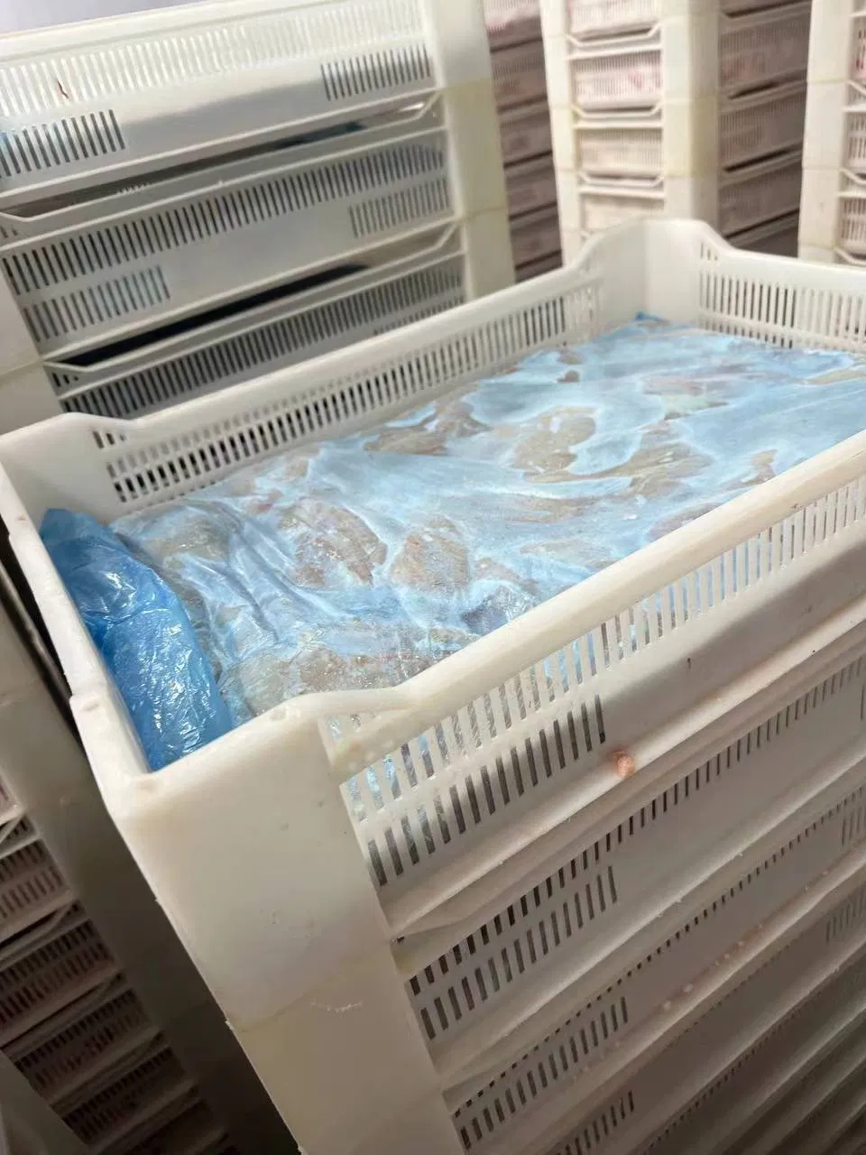 Premium IQF Skinless Boneless Chicken Breast for African Markets