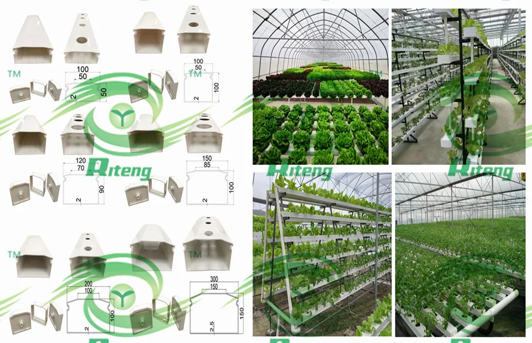 Agricultural Aquaponic Strawberry/Tomato Green House for Farm