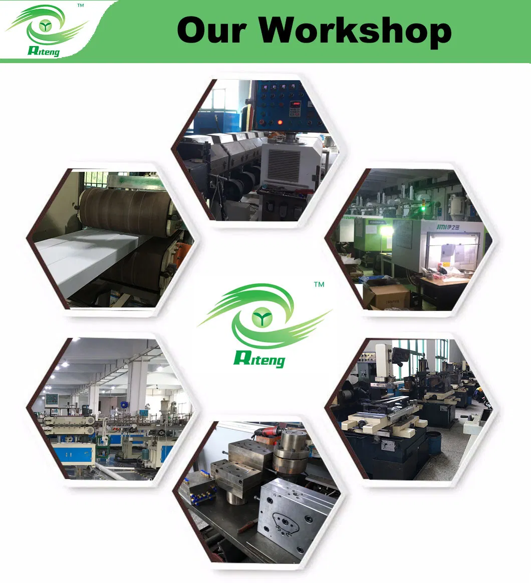 Agricultural Aquaponic Strawberry/Tomato Green House for Farm