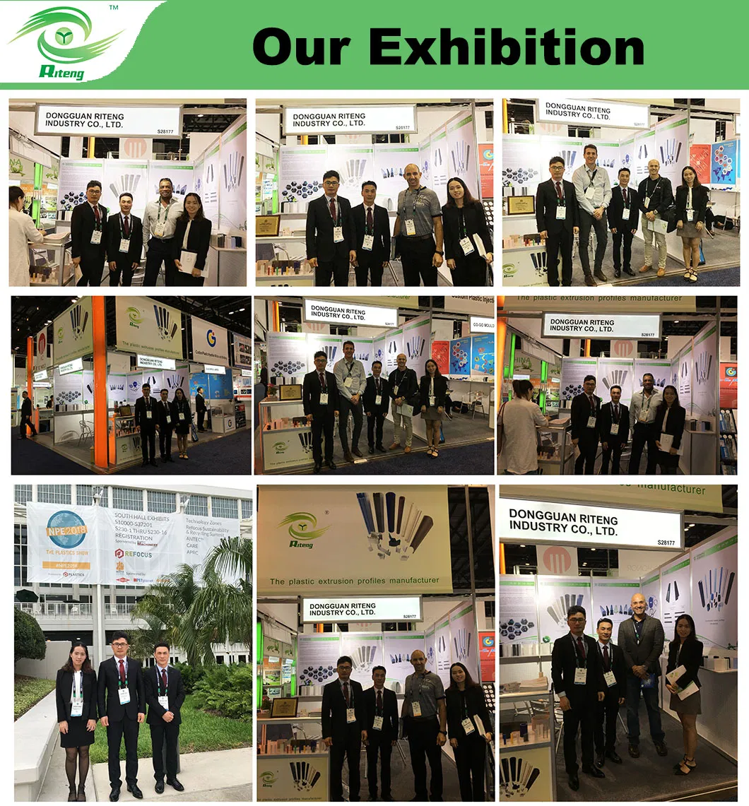 Agricultural Aquaponic Strawberry/Tomato Green House for Farm