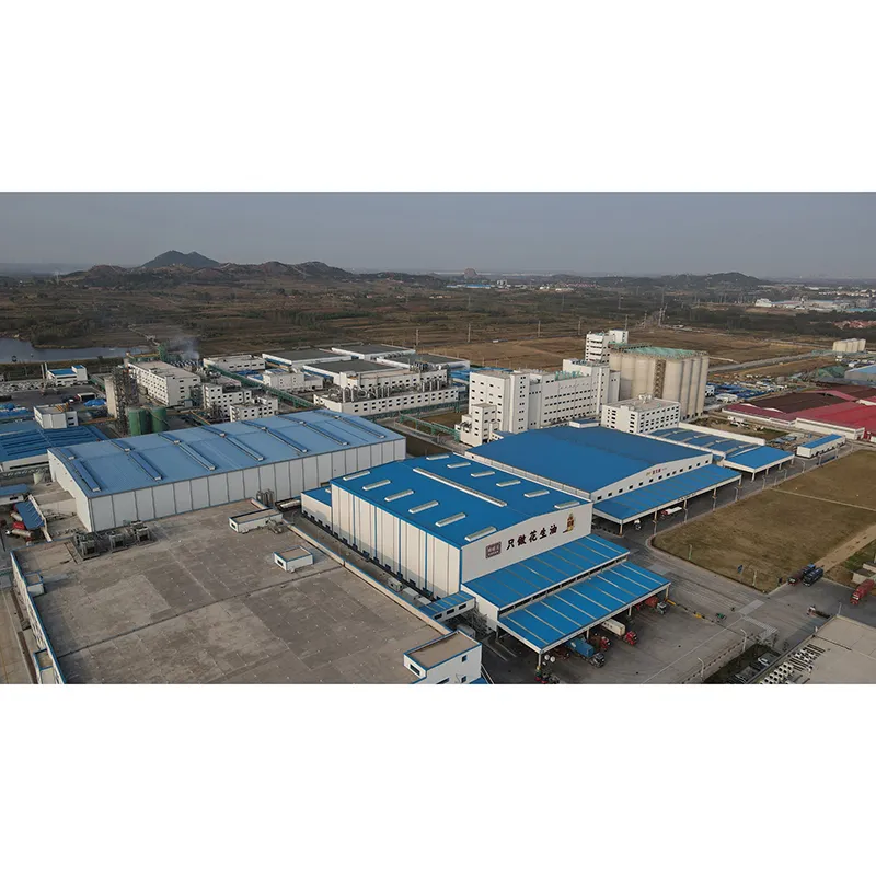 Jinlongyu Peanut Oil for Salad and Cold Dishes, Its Delicate Flavor Complements Rather Than Dominates Fresh Vegetables and Herbs.