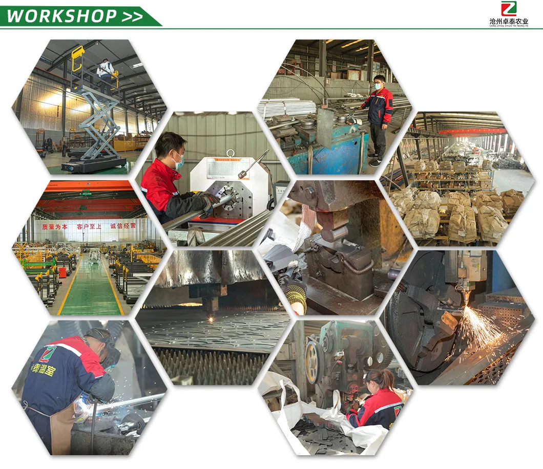 Versatile High Efficient New Design Anti-Rust Agricultural Film Greenhouse