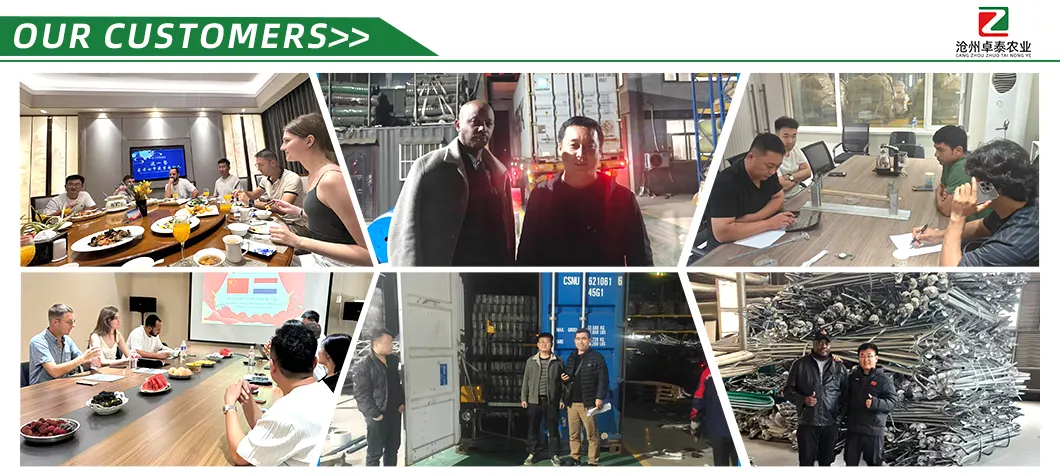 Versatile High Efficient New Design Anti-Rust Agricultural Film Greenhouse