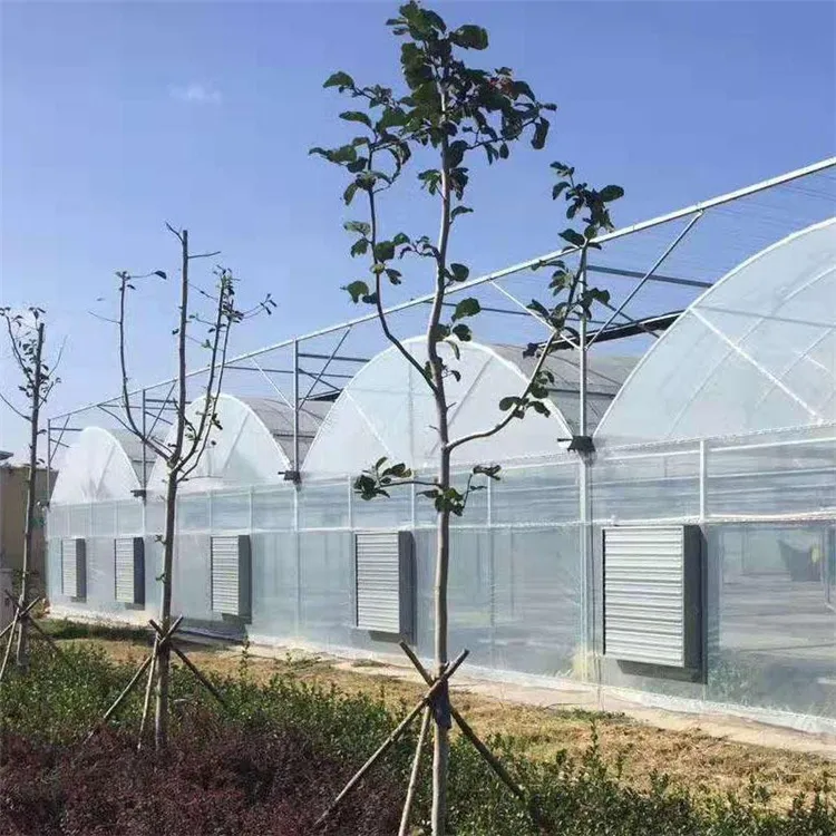 Professional Multi-Span Plastic Film Greenhouse with Shading System for Commercial Projects