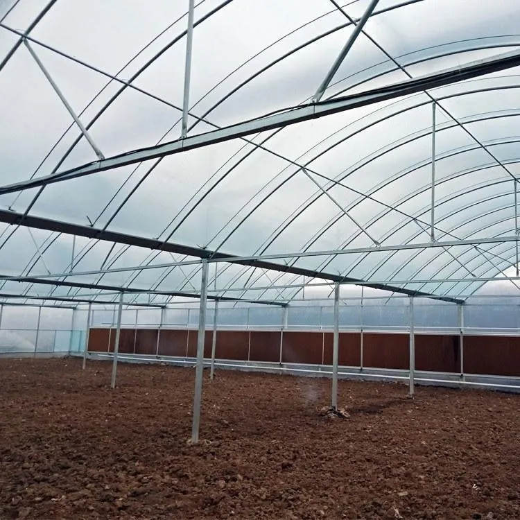 Professional Multi-Span Plastic Film Greenhouse with Shading System for Commercial Projects