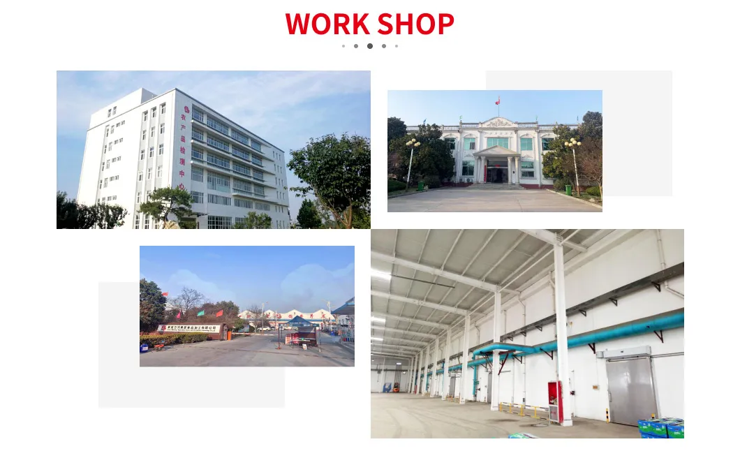 Fresh Class 1 Paper Bagged FUJI Apple