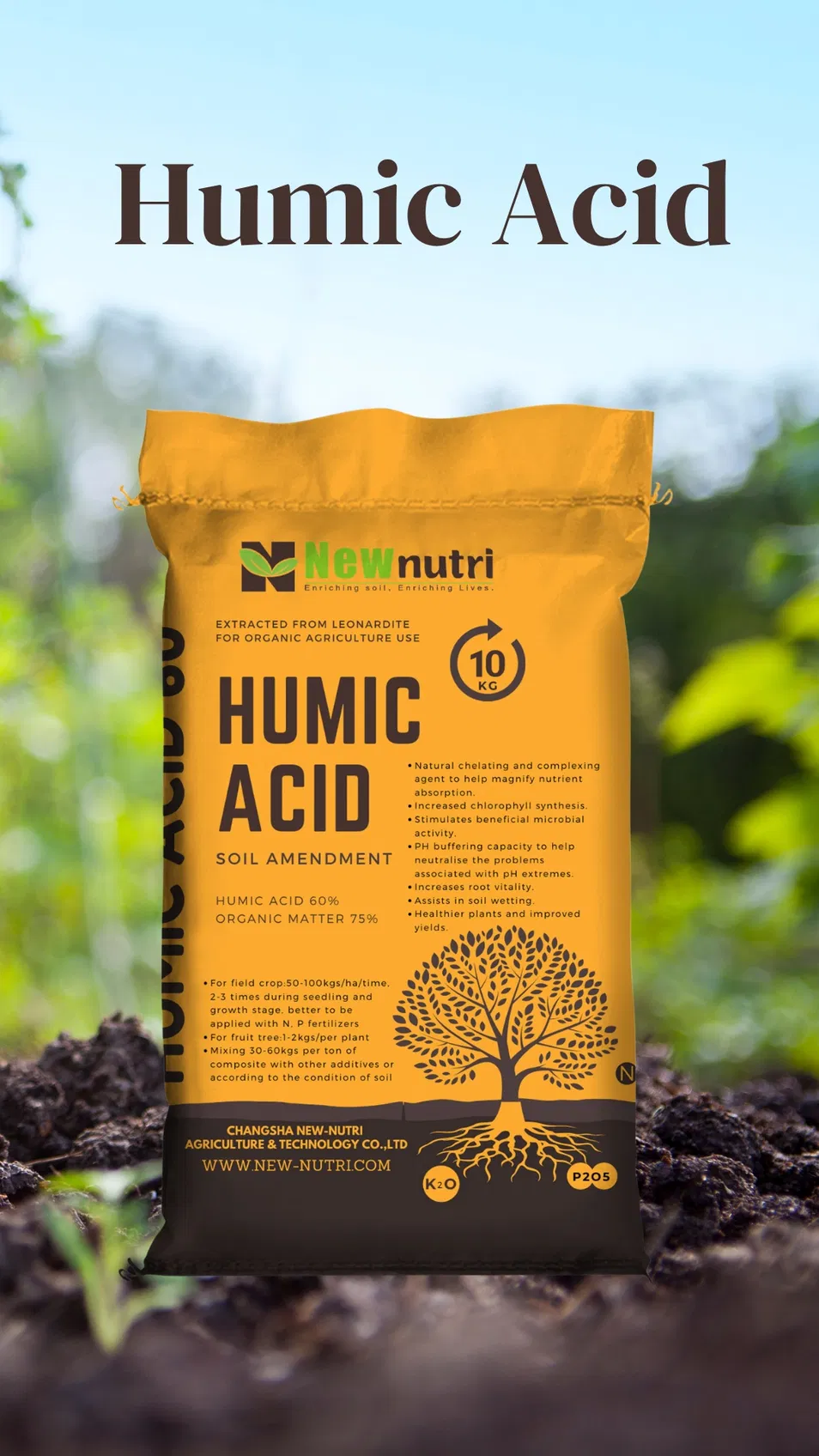 Humic Acid Ball/Granule Organic Fertilizer Bio Compound Fertilizer for Agriculture