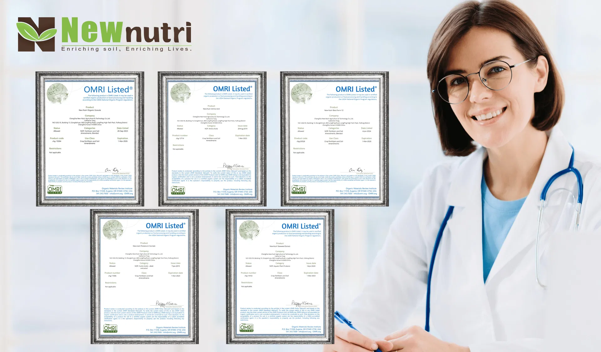 Humic Acid Ball/Granule Organic Fertilizer Bio Compound Fertilizer for Agriculture