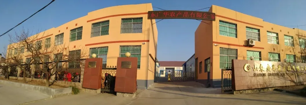 Dried Apricot with Lower Sugar and Best Quality