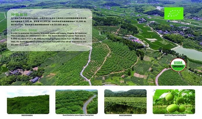 Citrus Paradisi Extract Powder 50%~98% Naringin