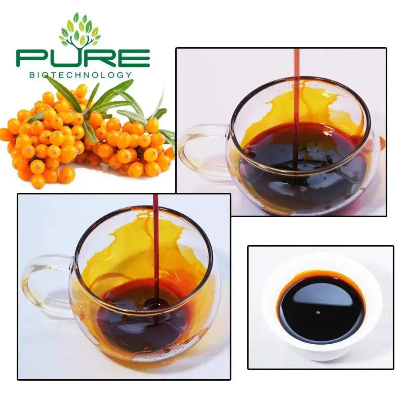 Premium Organic Sea Buckthorn Oil with Palmitoleic Acid 25%