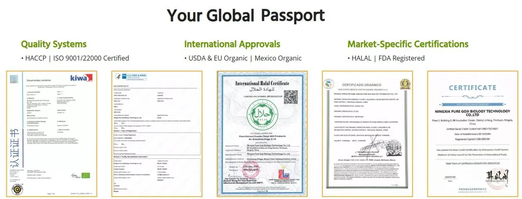 Premium Organic Sea Buckthorn Oil with Palmitoleic Acid 25%