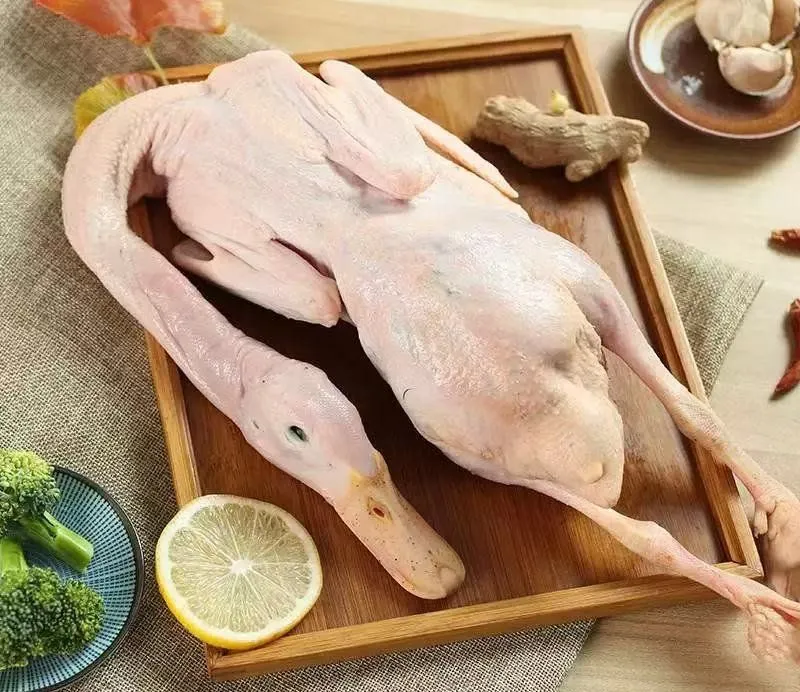 China Halal Certified IQF Frozen Whole Duck Premium Bulk Export Wholesale